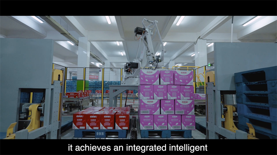 Automatic sorting assembling system-62